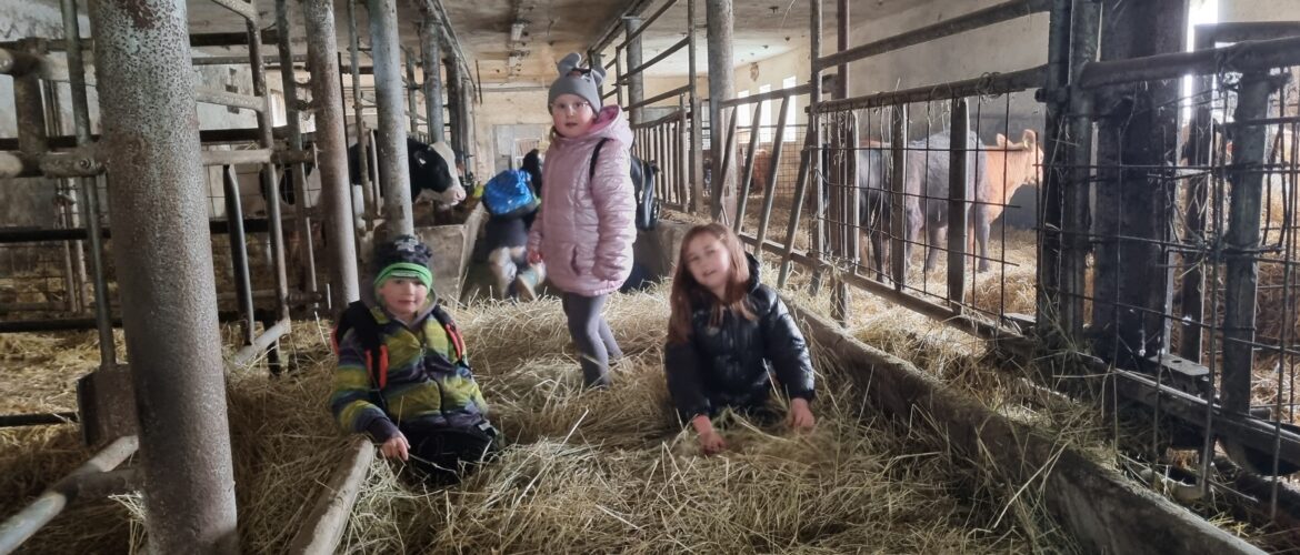 Výlet na farmu do dolní Libiny