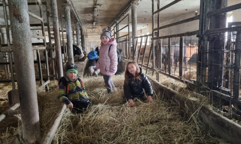 Výlet na farmu do dolní Libiny
